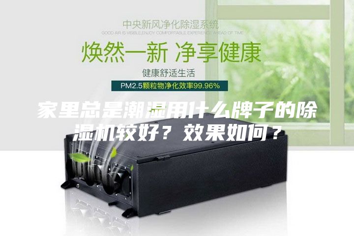 家里总是潮湿用什么牌子的除湿机较好？效果如何？