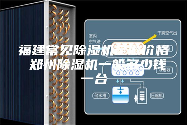 福建常见除湿机定做价格 郑州除湿机一般多少钱一台