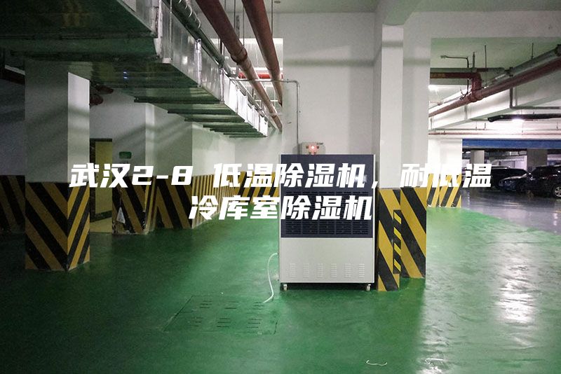 武汉2-8℃低温除湿机，耐低温冷库室除湿机