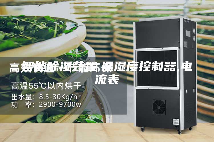 智能除湿装置,温湿度控制器,电流表