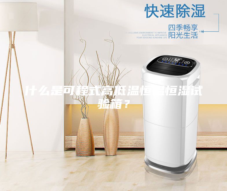 什么是可程式高低温恒温恒湿试验箱？
