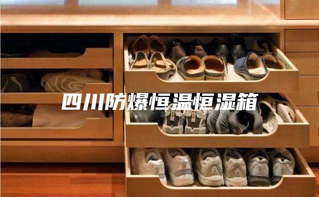 四川防爆恒温恒湿箱
