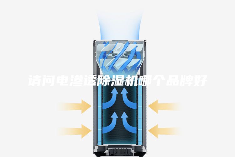 请问电渗透除湿机哪个品牌好