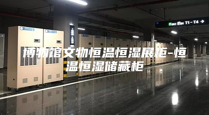 博物馆文物恒温恒湿展柜-恒温恒湿储藏柜