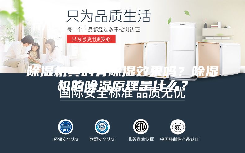除湿机真的有除湿效果吗？除湿机的除湿原理是什么？