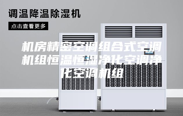 机房精密空调组合式空调机组恒温恒湿净化空调净化空调机组