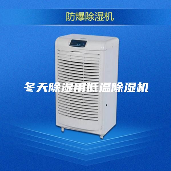 冬天除湿用低温除湿机