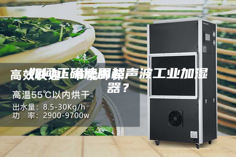 如何正确使用超声波工业加湿器？