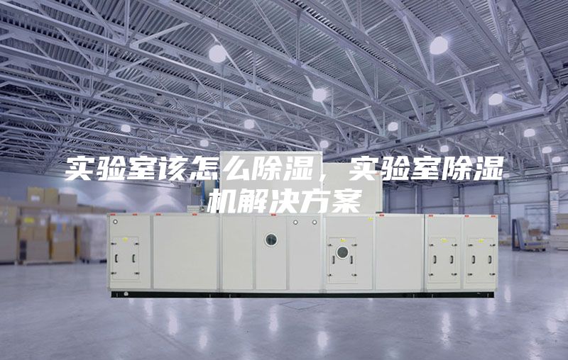 实验室该怎么除湿，实验室除湿机解决方案
