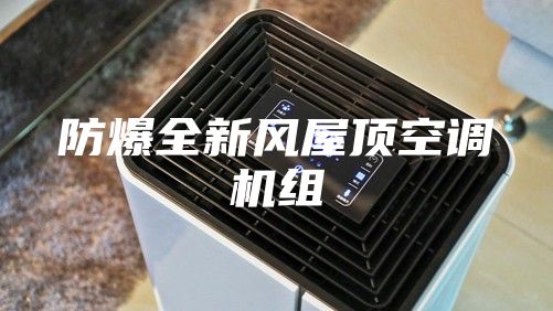 防爆全新风屋顶空调机组