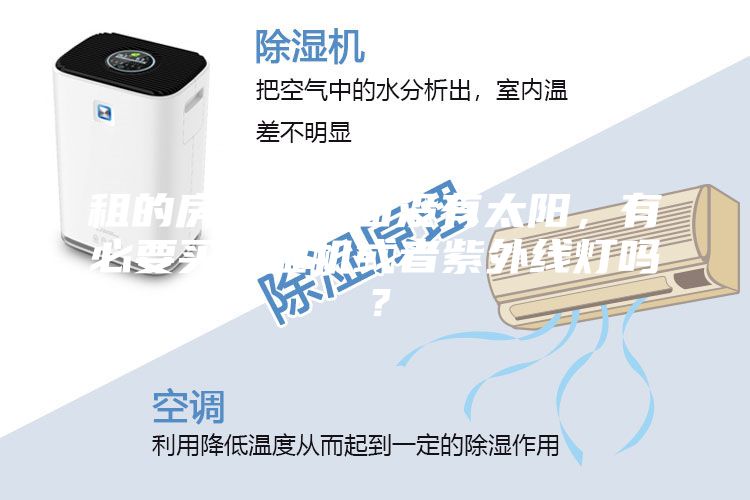 租的房子在阴面没有太阳，有必要买除湿机或者紫外线灯吗？