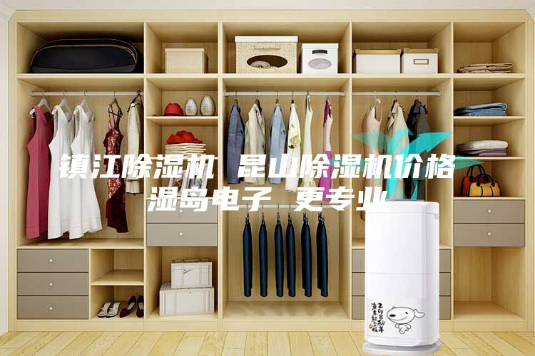 镇江除湿机 昆山除湿机价格 湿岛电子 更专业
