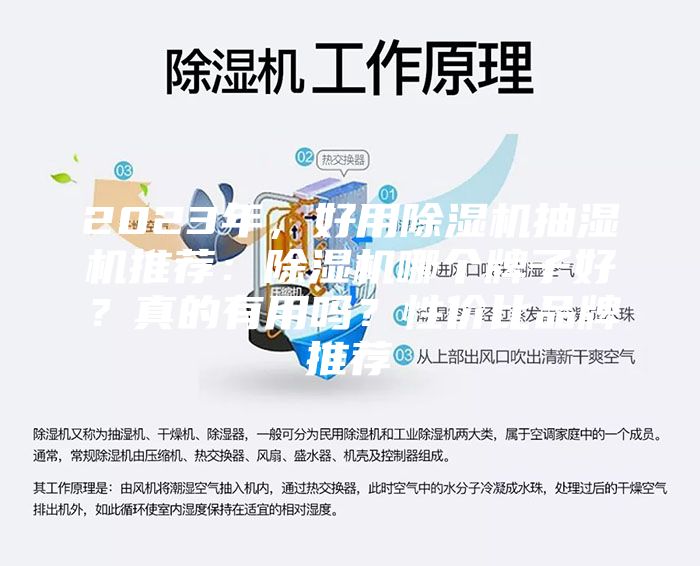 2023年，好用除湿机抽湿机推荐：除湿机哪个牌子好？真的有用吗？性价比品牌推荐