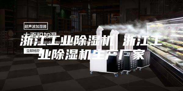 浙江工业除湿机 浙江工业除湿机生产厂家