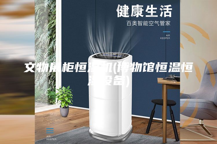 文物展柜恒湿机(博物馆恒温恒湿设备)