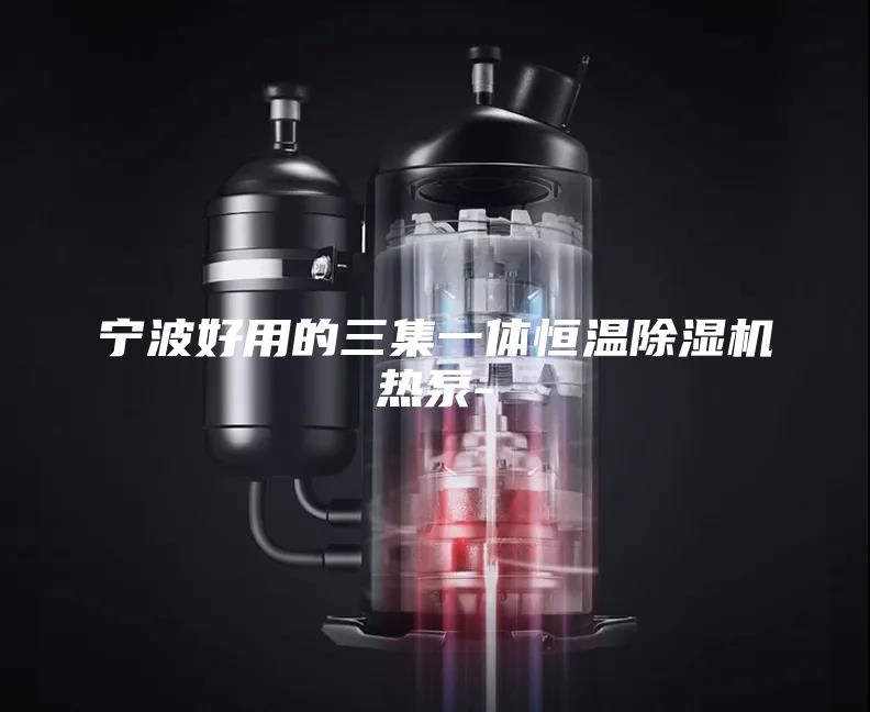 宁波好用的三集一体恒温除湿机热泵-