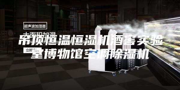 吊顶恒温恒湿机酒窖实验室博物馆空调除湿机