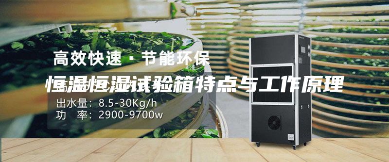 恒温恒湿试验箱特点与工作原理