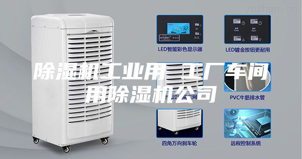 除湿机工业用 工厂车间用除湿机公司