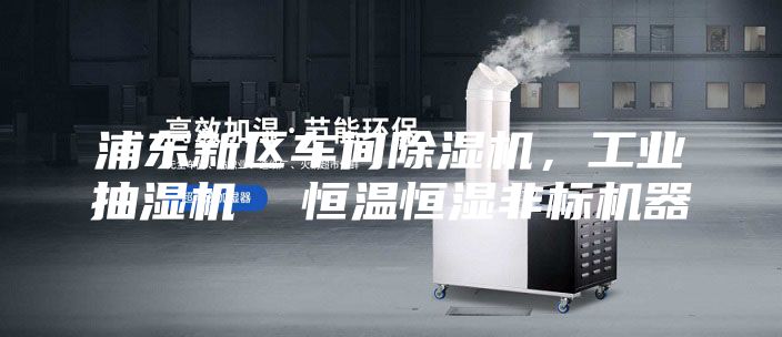 浦东新区车间除湿机，工业抽湿机  恒温恒湿非标机器