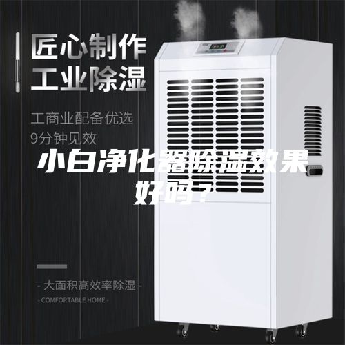 小白净化器除湿效果好吗？