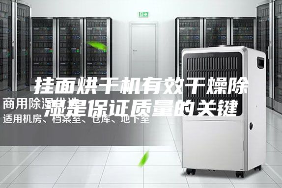 挂面烘干机有效干燥除湿是保证质量的关键
