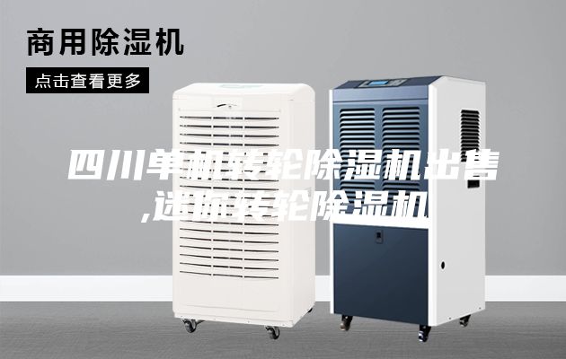 四川单机转轮除湿机出售,迷你转轮除湿机