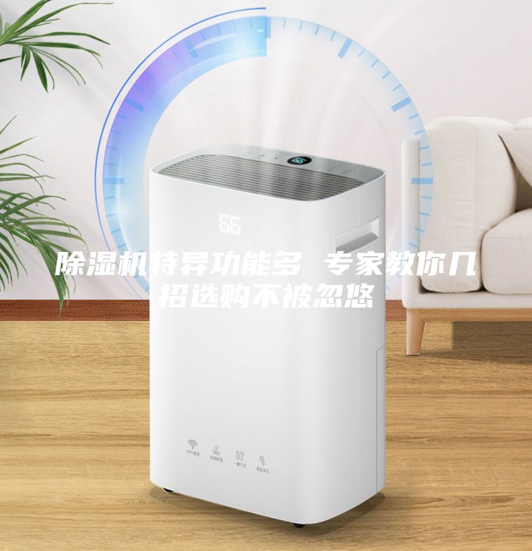 除湿机特异功能多 专家教你几招选购不被忽悠