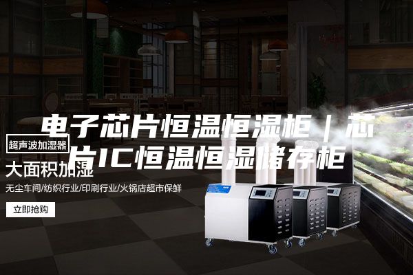 电子芯片恒温恒湿柜｜芯片IC恒温恒湿储存柜