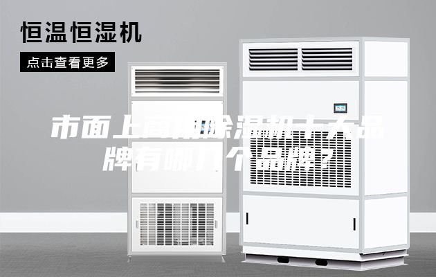 市面上商用除湿机十大品牌有哪几个品牌？