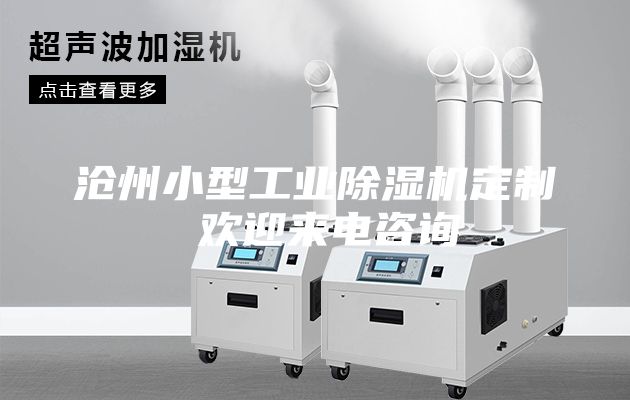 沧州小型工业除湿机定制 欢迎来电咨询