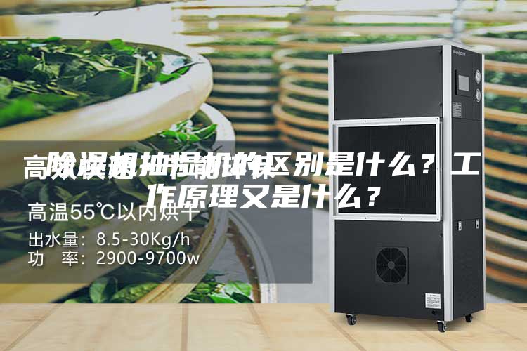 除湿机抽湿机的区别是什么？工作原理又是什么？