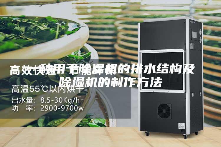 一种用于除湿机的排水结构及除湿机的制作方法