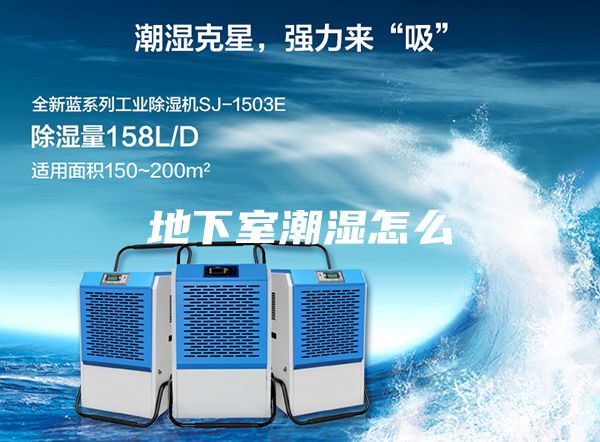 地下室潮湿怎么