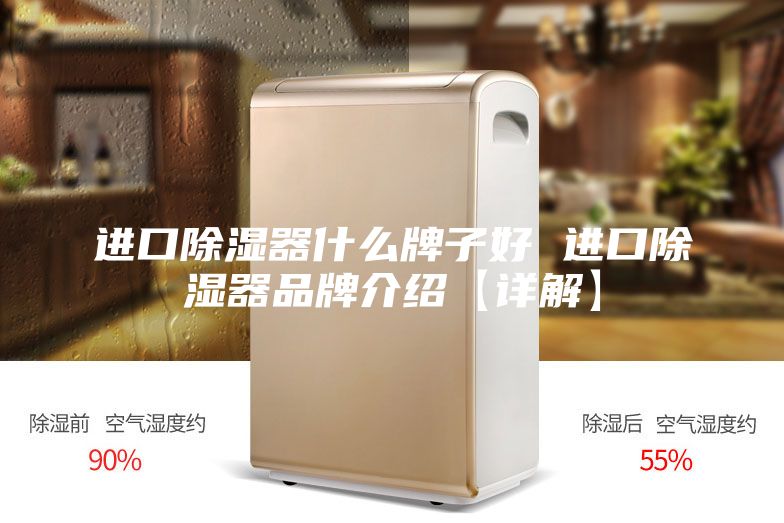 进口除湿器什么牌子好 进口除湿器品牌介绍【详解】