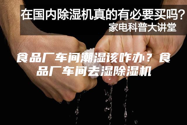 食品厂车间潮湿该咋办？食品厂车间去湿除湿机