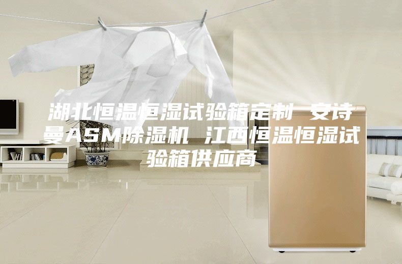 湖北恒温恒湿试验箱定制 安诗曼ASM除湿机 江西恒温恒湿试验箱供应商
