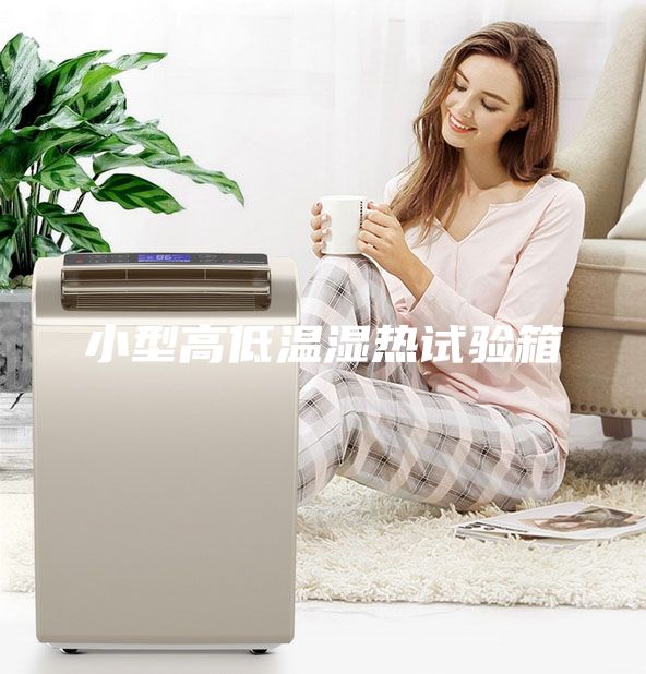 小型高低温湿热试验箱