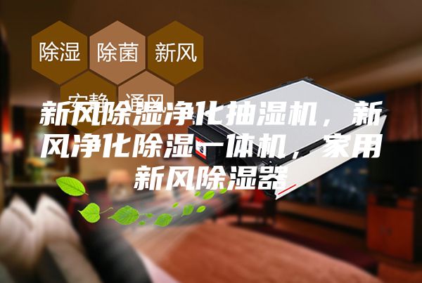 新风除湿净化抽湿机，新风净化除湿一体机，家用新风除湿器