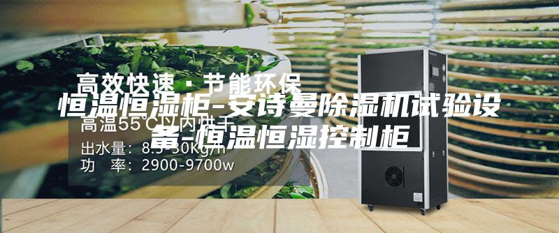 恒温恒湿柜-安诗曼除湿机试验设备-恒温恒湿控制柜