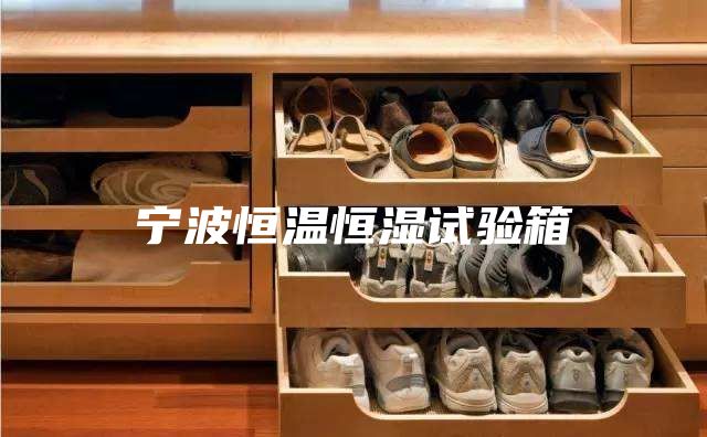 宁波恒温恒湿试验箱
