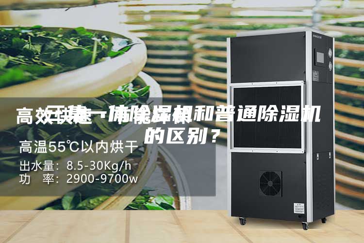 三集一体除湿机和普通除湿机的区别？