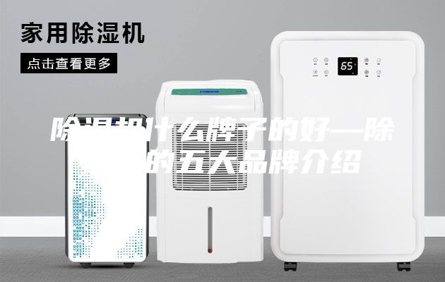 除湿机什么牌子的好—除湿机的五大品牌介绍