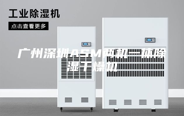 广州深圳ASM两机一体除湿干燥机