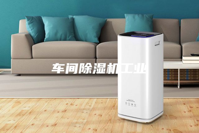 车间除湿机工业