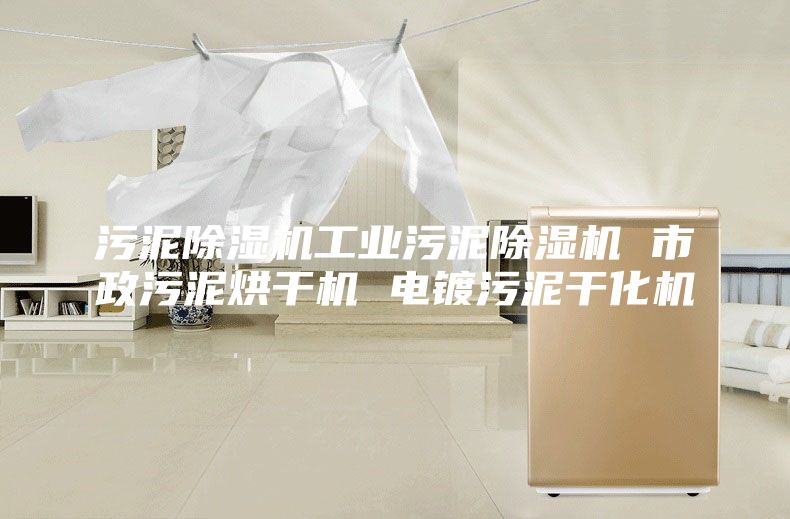 污泥除湿机工业污泥除湿机 市政污泥烘干机 电镀污泥干化机