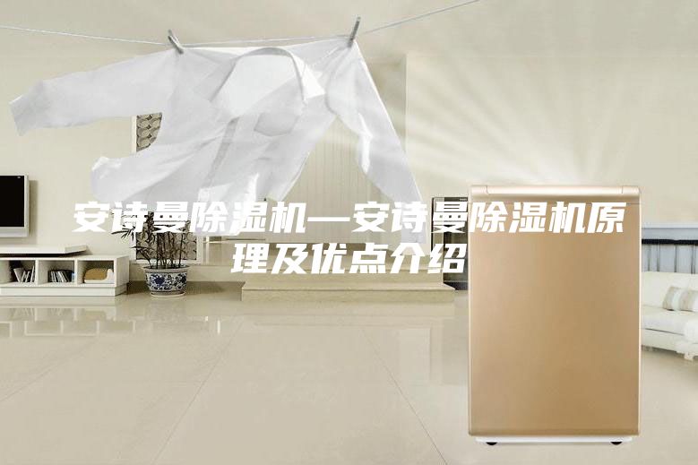安诗曼除湿机—安诗曼除湿机原理及优点介绍