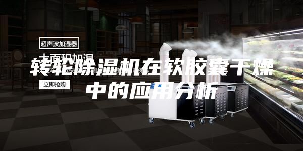 转轮除湿机在软胶囊干燥中的应用分析