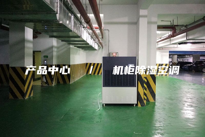 产品中心  ／  机柜除湿空调