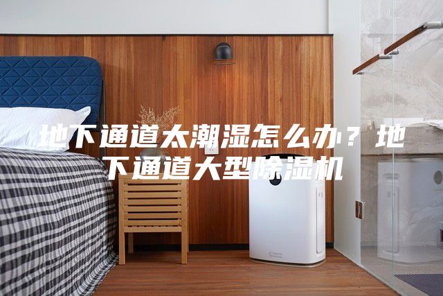 地下通道太潮湿怎么办？地下通道大型除湿机